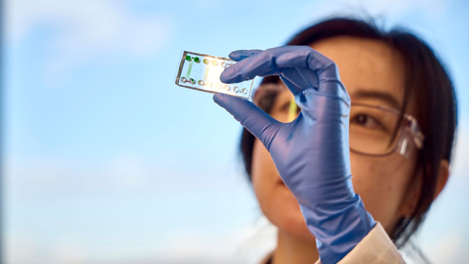 Researcher wearing gloves holds a microscope slide up to the light in a laboratory.
