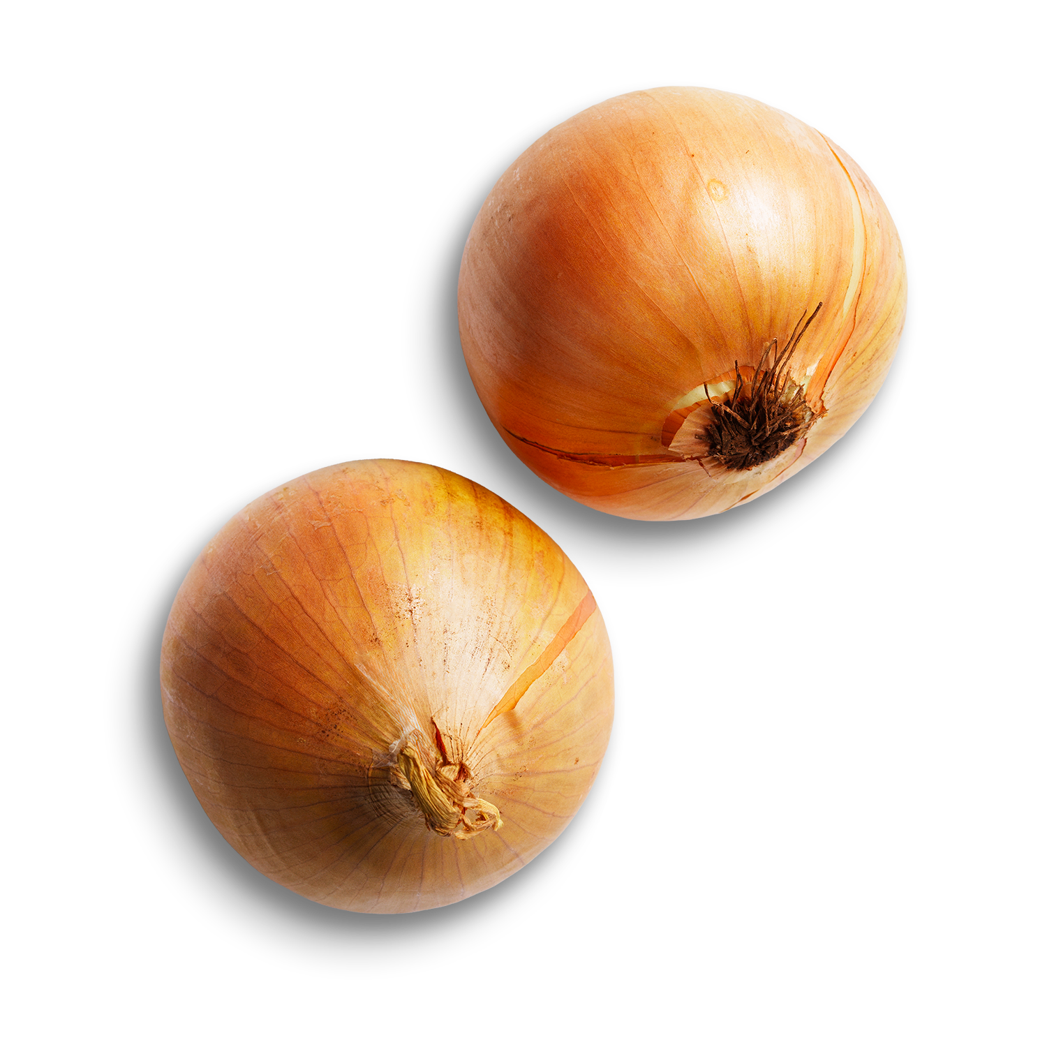 Onions