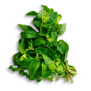 Fresh mint leaves