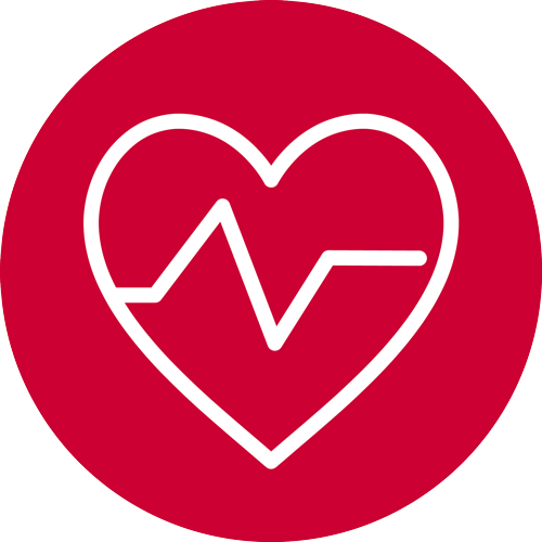 Red heart with hearbeat line icon