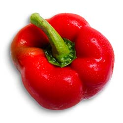 Red capsicum
