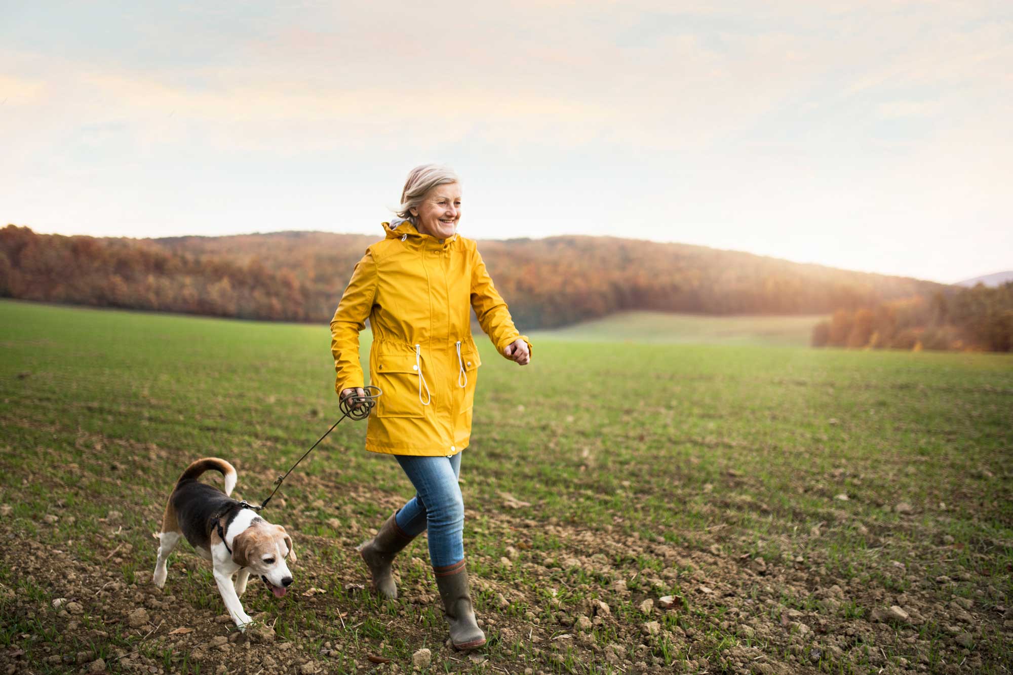 Older woman in yellow rain jacket walking her dog briskly in a country field