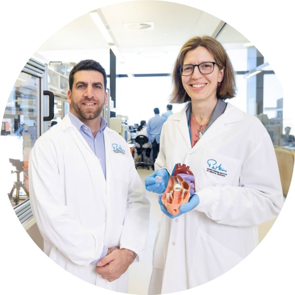 Two researchers in lab coats holding a heart model in a laboratory setting