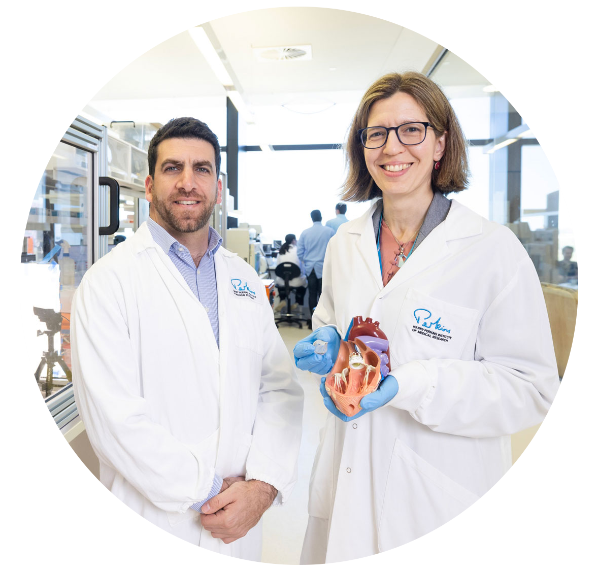 Two researchers in lab coats holding a heart model in a laboratory setting