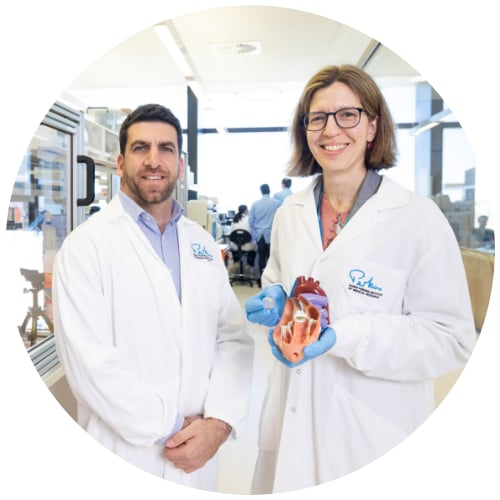 Two researchers in lab coats holding a heart model in a laboratory setting