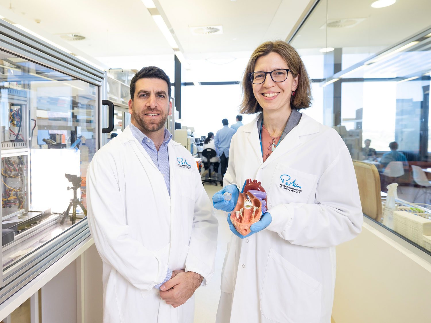 Two researchers in lab coats holding a heart model in a laboratory setting