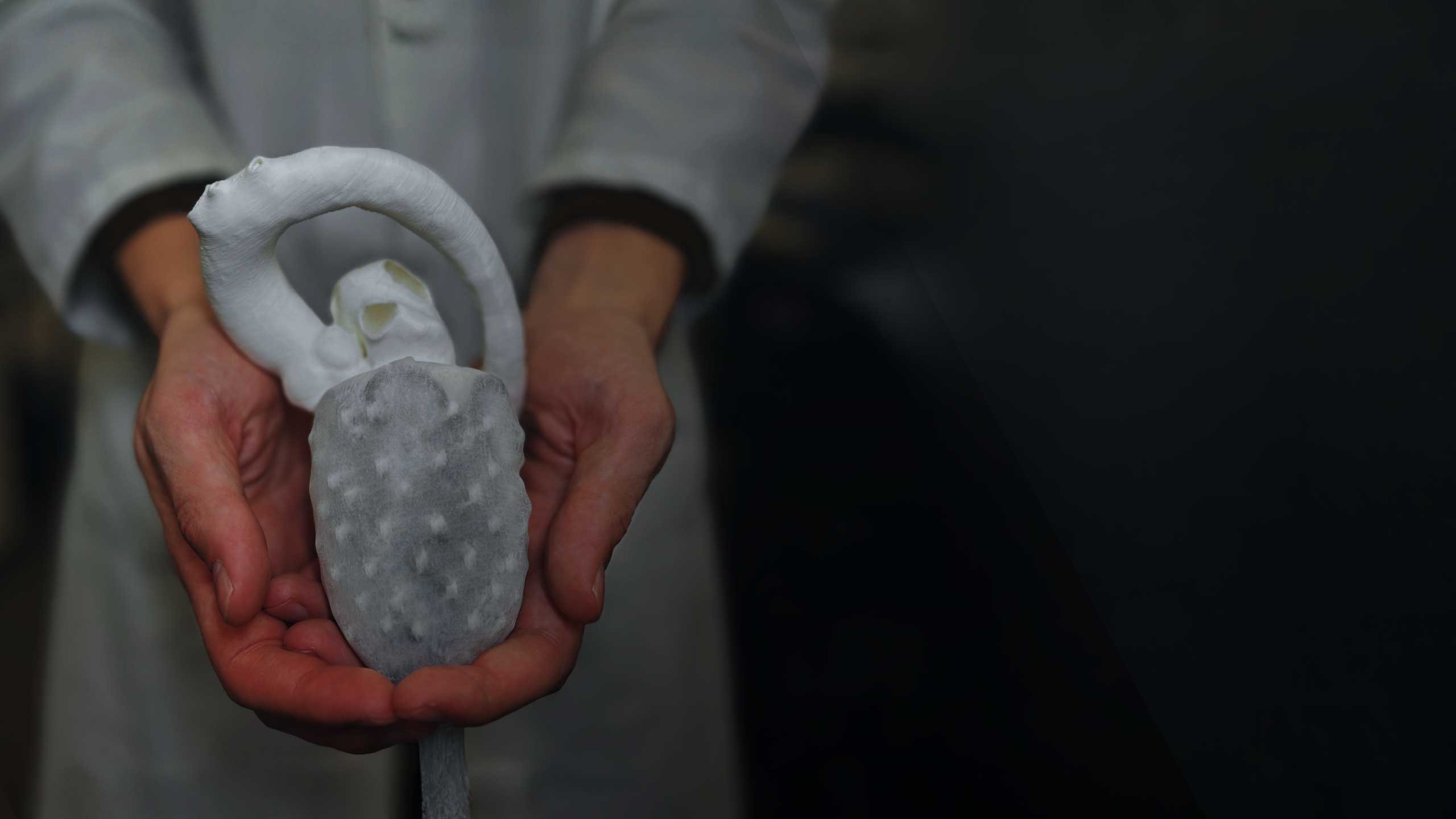 Researcher holding heart device in hands