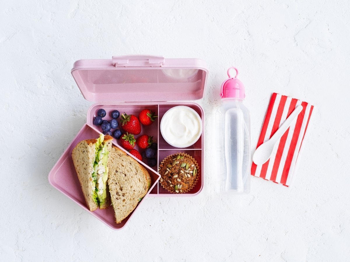 Carrot Cake Muffin, Fresh berries, Yoghurt tub/pouch , Chicken, avocado & salad wholegrain sandwich, Water bottle