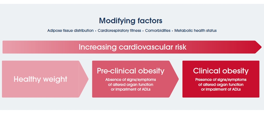 Figure 4: Modifying factors for the relationship between excess adiposity and cardiovascular risk.