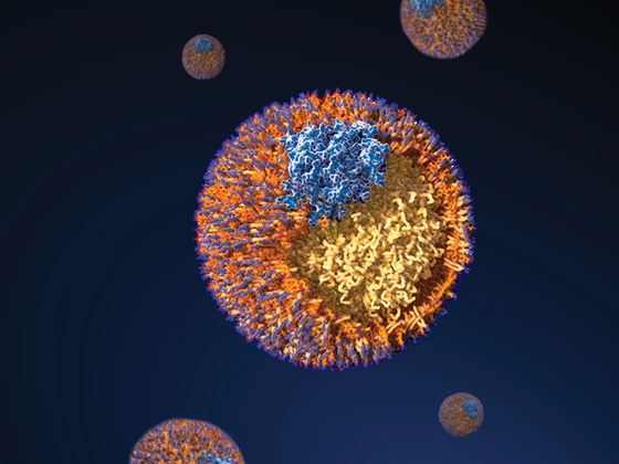 Lipids in the limelight