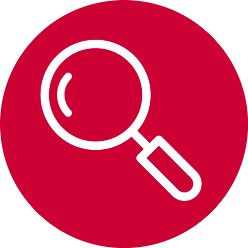 Red magnifying glass icon