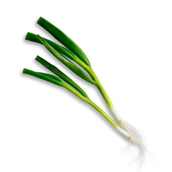 Green shallot