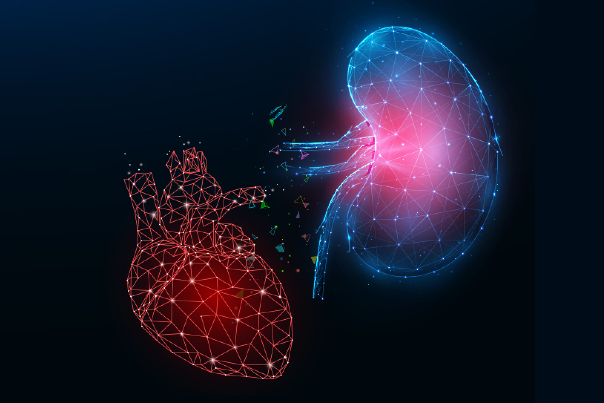 Filtering through the impact of chronic kidney disease on cardiovascular disease.