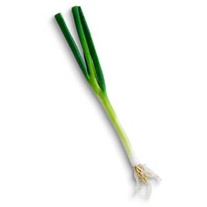 Green spring onion
