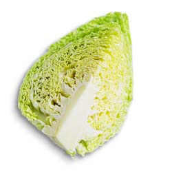 Cabbage