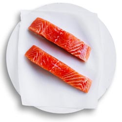 Salmon