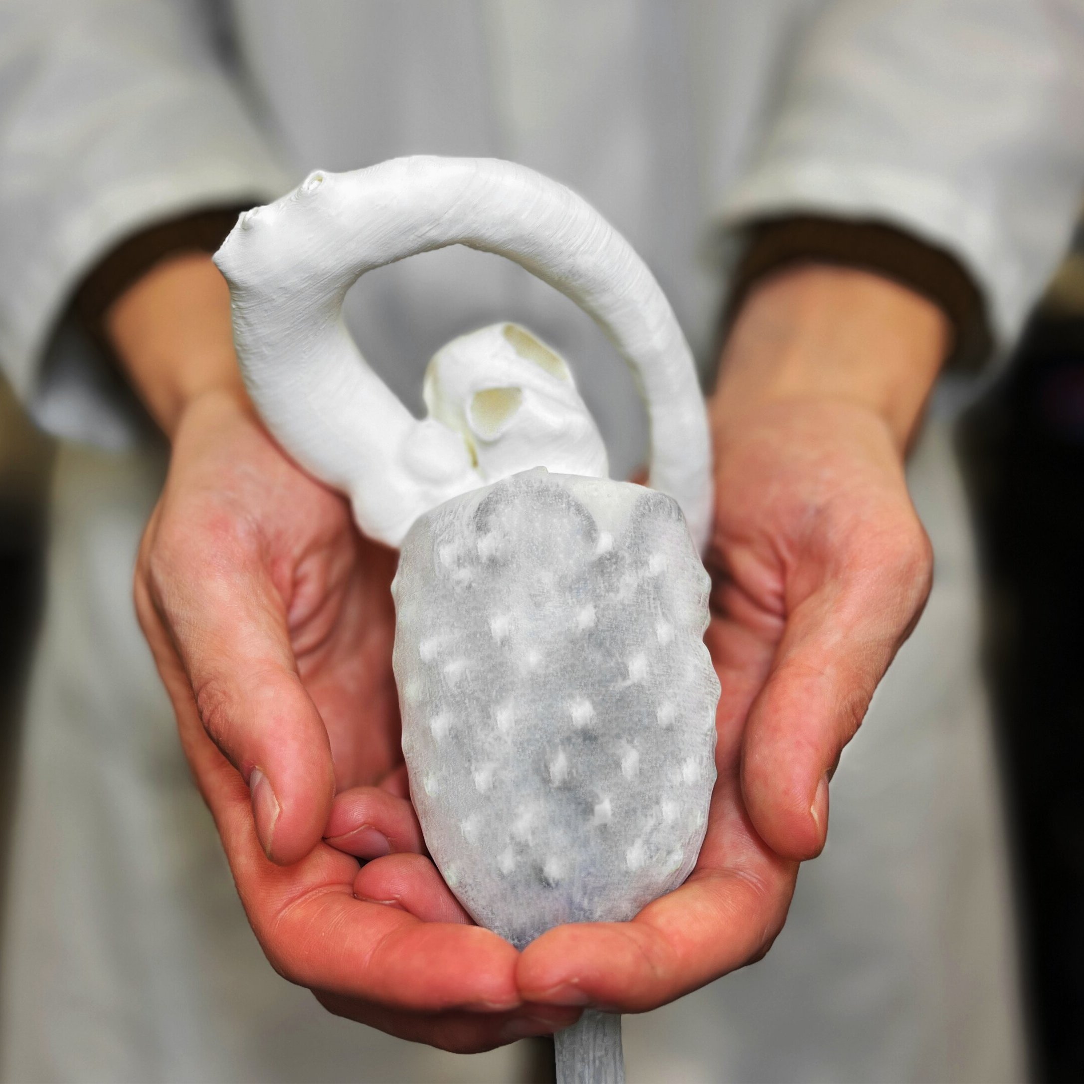 Robotic heart assistant image