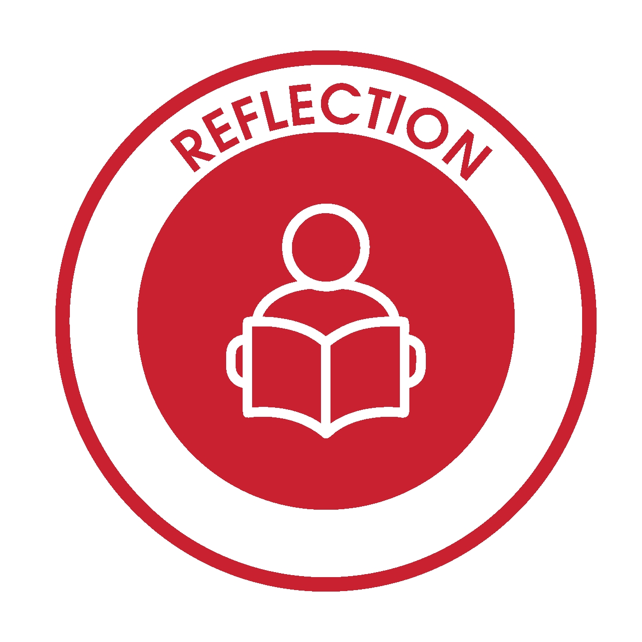 Reflection icon