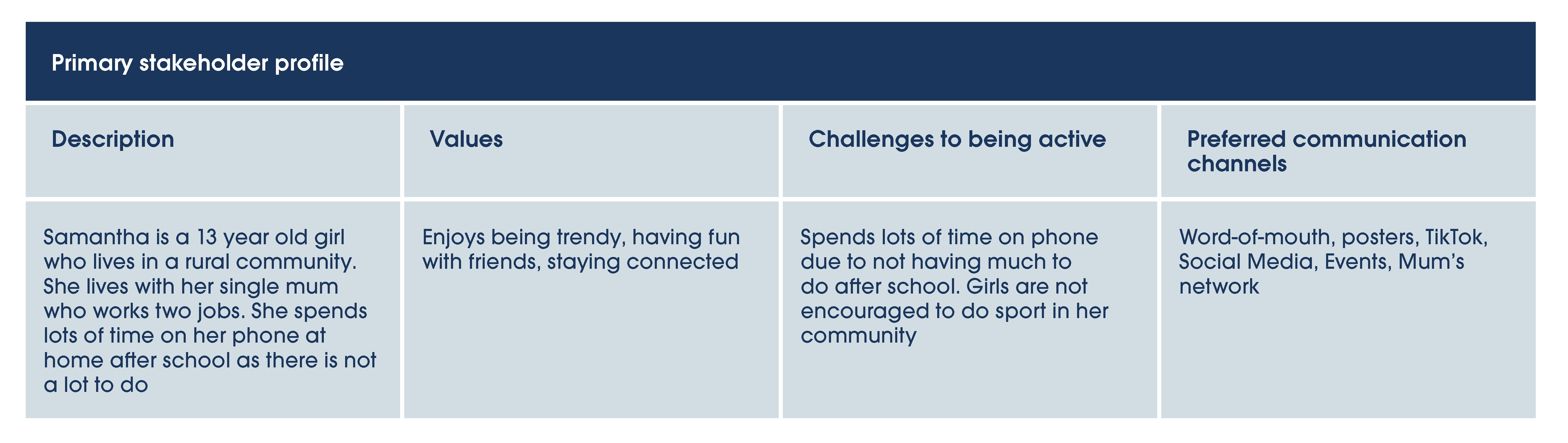 Primary stakeholder profile example