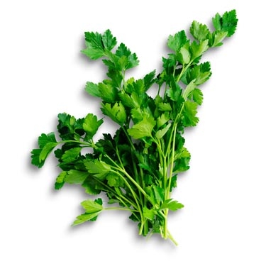 Fresh parsley leaves