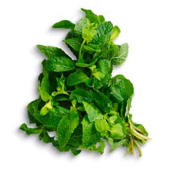 Mint leaves