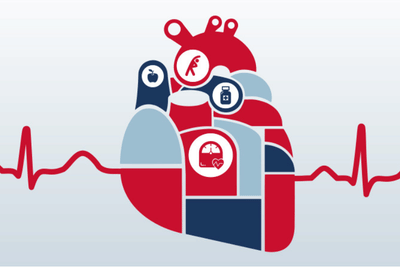 Graphic image of a heart with different components in red and blue