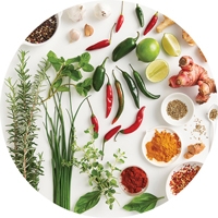 A group of different spices and herbs 