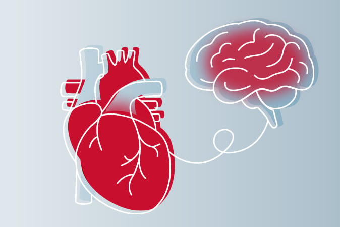 Graphic showing heart and mind organs
