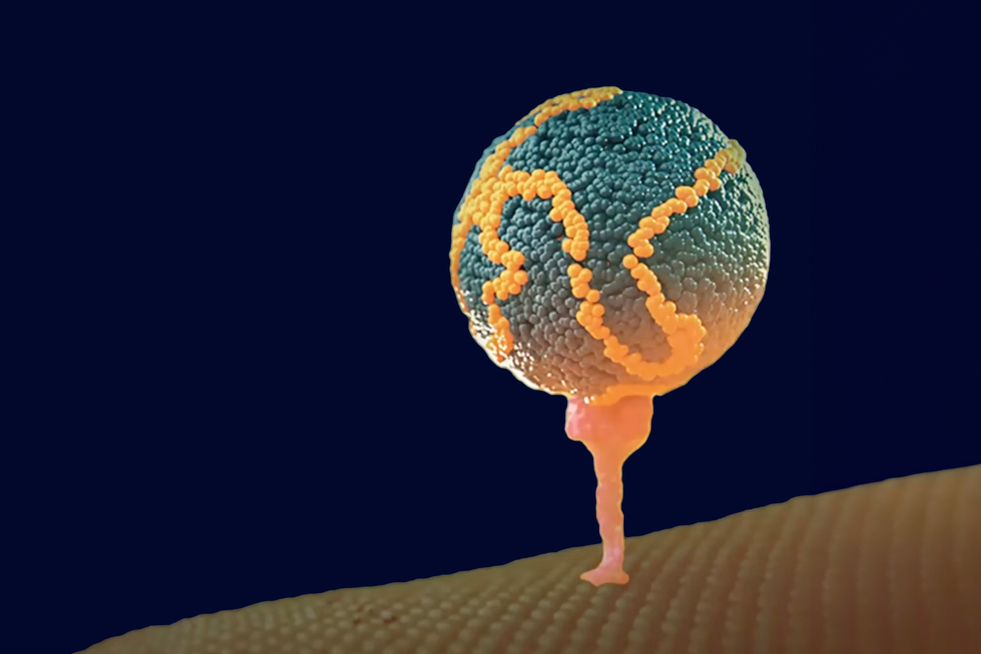 An abstract image with lipid molecule standing on human legs on a landscape 