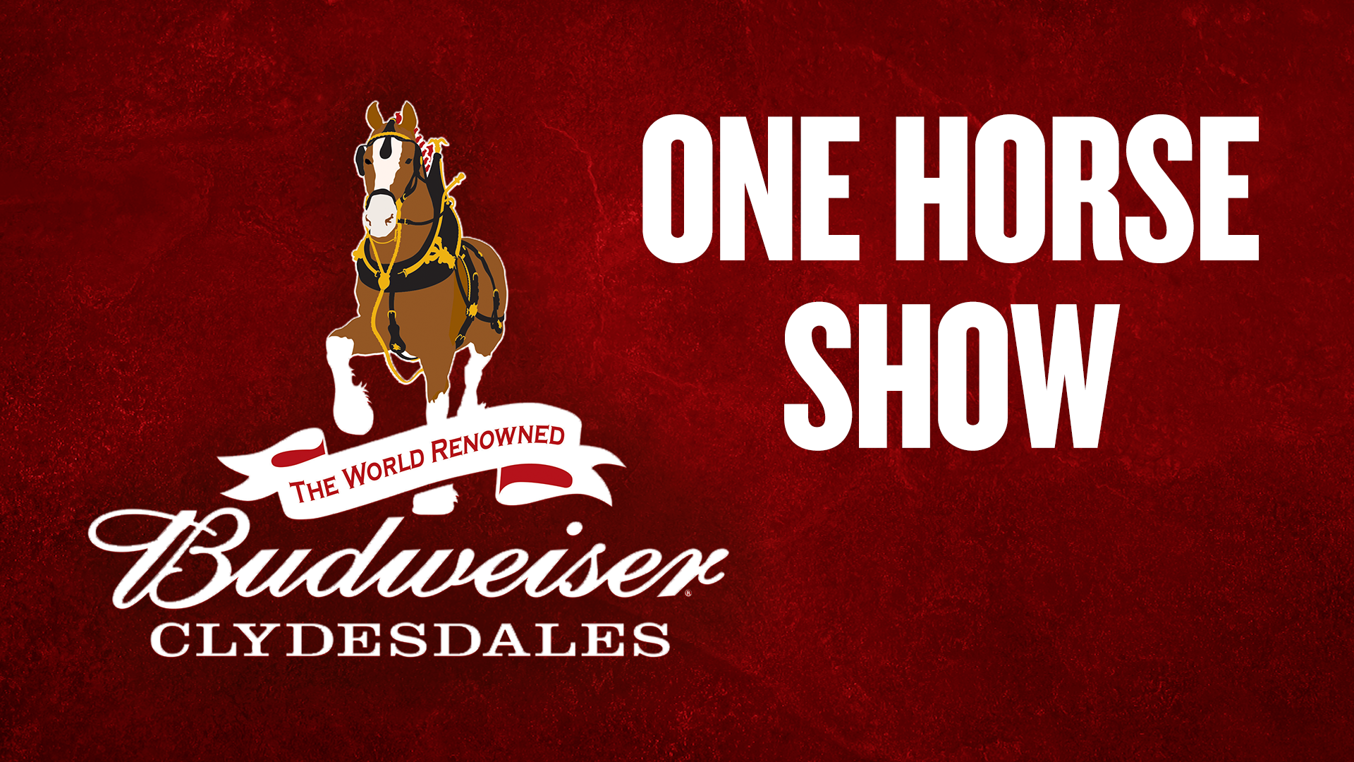 One Horse Show Clydesdale Event Image