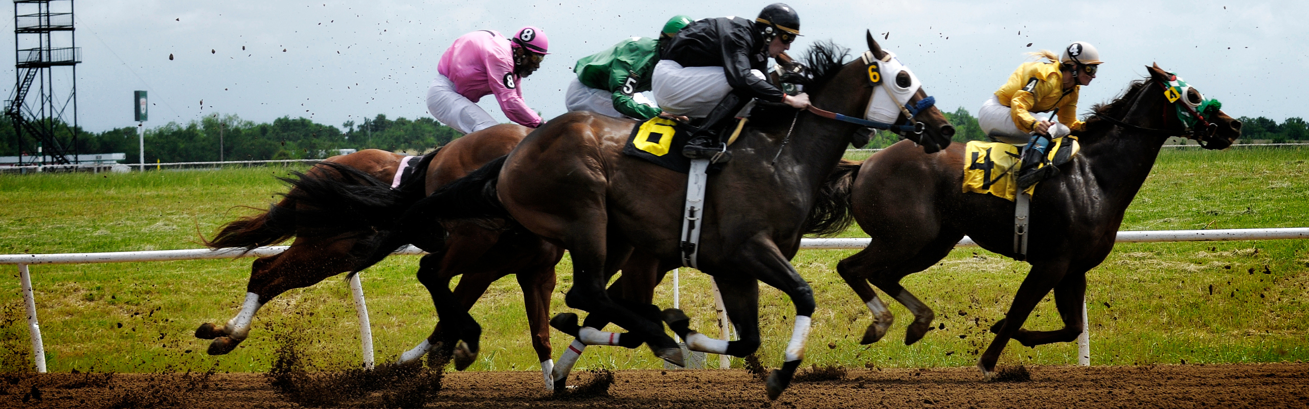 Jockeys Riding Racehorses 