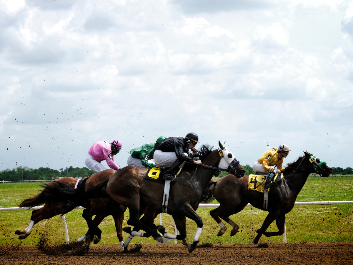 Horses racing