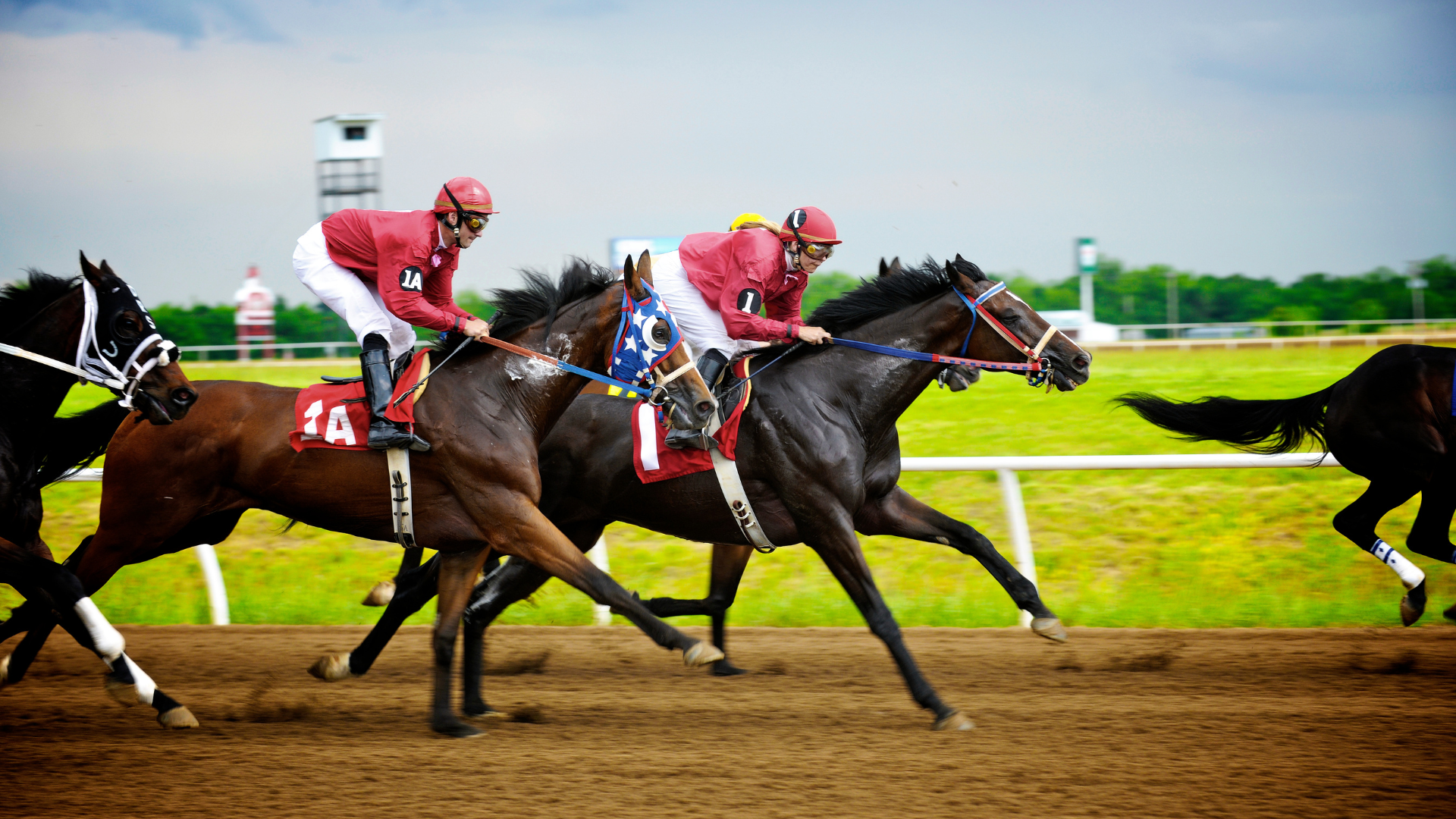Horses Racing at Racetrack
