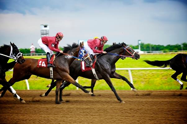 Horses racing on track