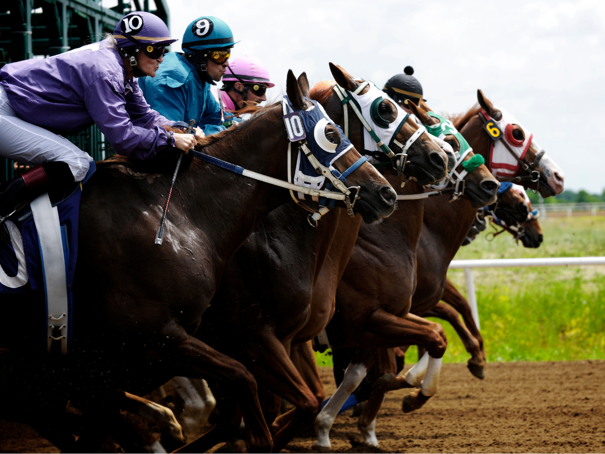 Will Rogers Downs Horse Races