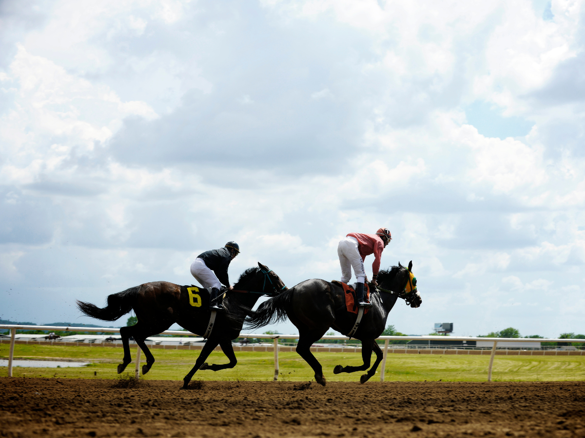 Jockeys racing horses