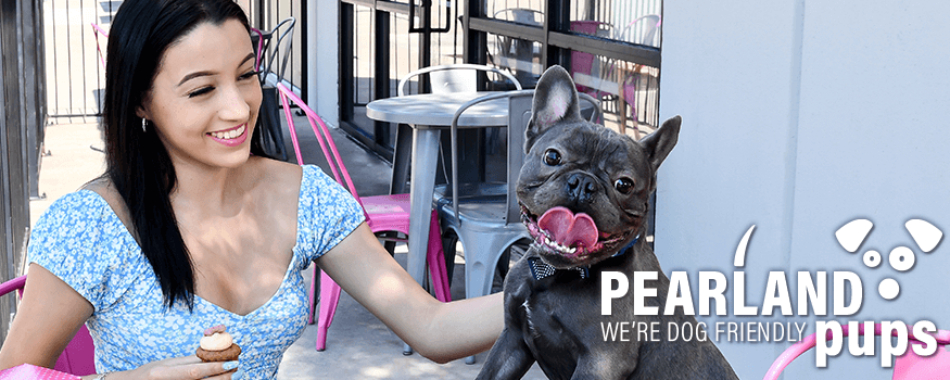 Tail-Wagging Retail: Pet-Friendly Shopping Bliss