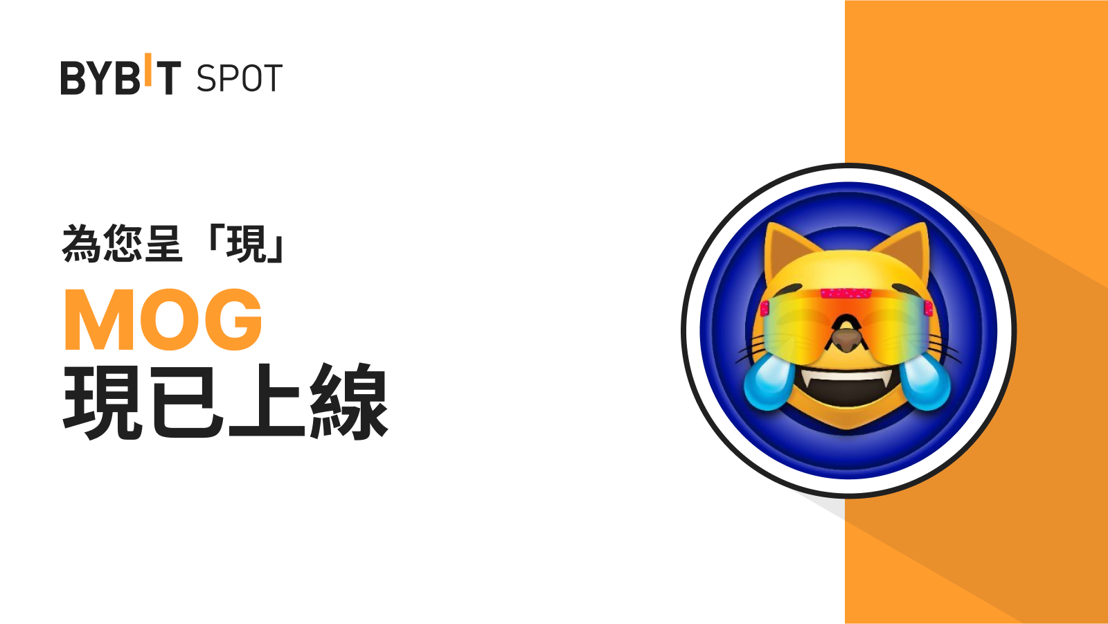 TW_2405-T27247_MOG listing_B2_1600x900.png