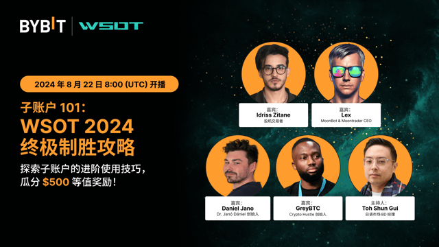 [现已开播] 子账户 101：WSOT 2024 终极制胜攻略