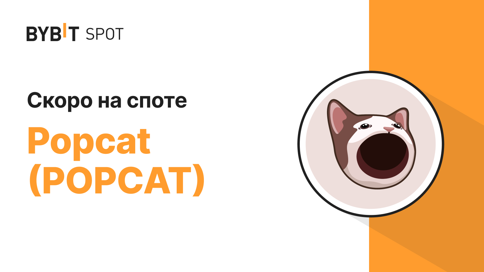 Bybit Announcement | Листинг POPCAT/USDT на Bybit