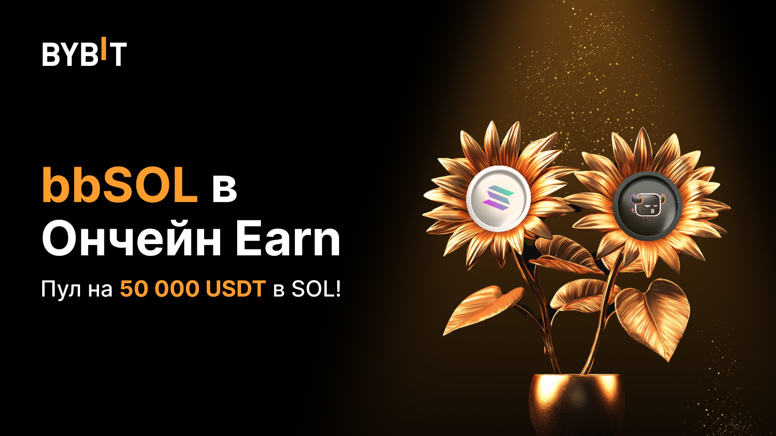 Что такое bbsol. Что такое bbsol