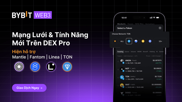 Cập Nhật Sản Phẩm: Mạng Lưới & Tính Năng Mới Trên DEX Pro - Vươn Tầm Giao Dịch