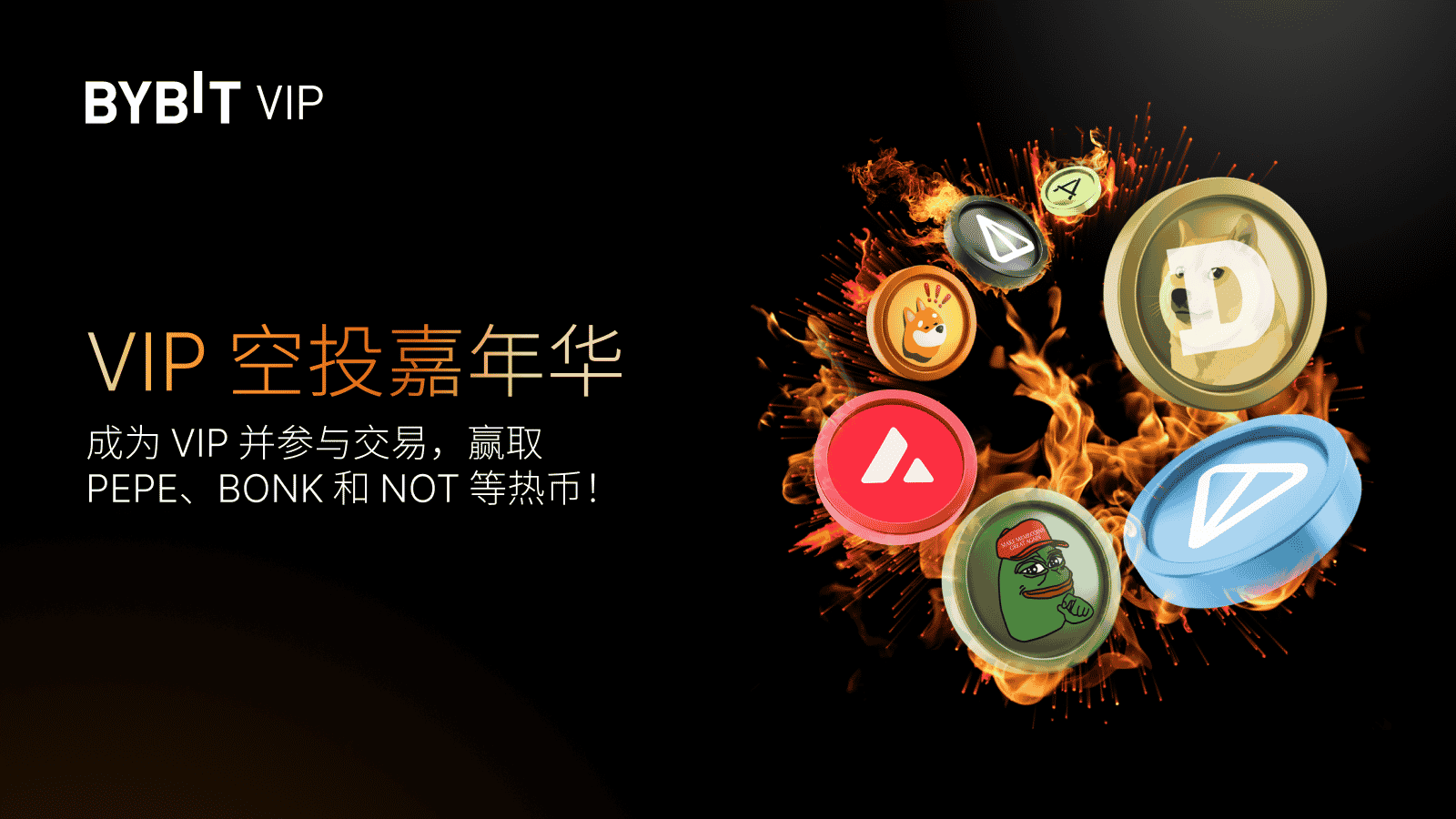 Bybit Announcement | VIP 空投嘉年华：PEPE、BONK、NOT 及更多热币等您赢！
