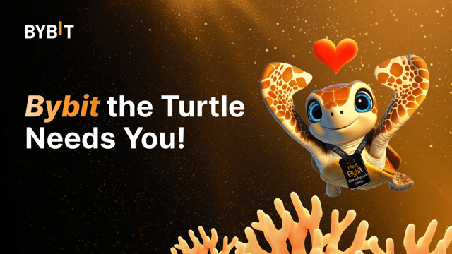 Tham Gia Cùng Bybit Bảo Vệ Rùa Biển Bybit và Hỗ Trợ Bảo Tồn Thiên Nhiên! 🐢