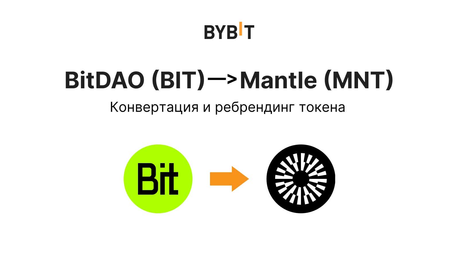 алекс бит и венди фанфики фото 114