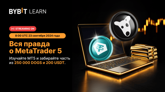 Вся правда о MetaTrader 5: пул на 250 000 DOGS