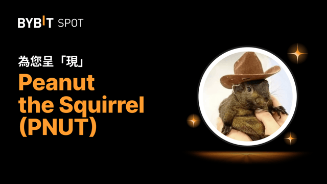 新幣上線：PNUT/USDT 現已上線