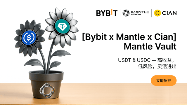 [Bybit x Mantle x Cian] Mantle Vault 重磅上线：稳定币链上收益策略，稳守收益，灵活拓展