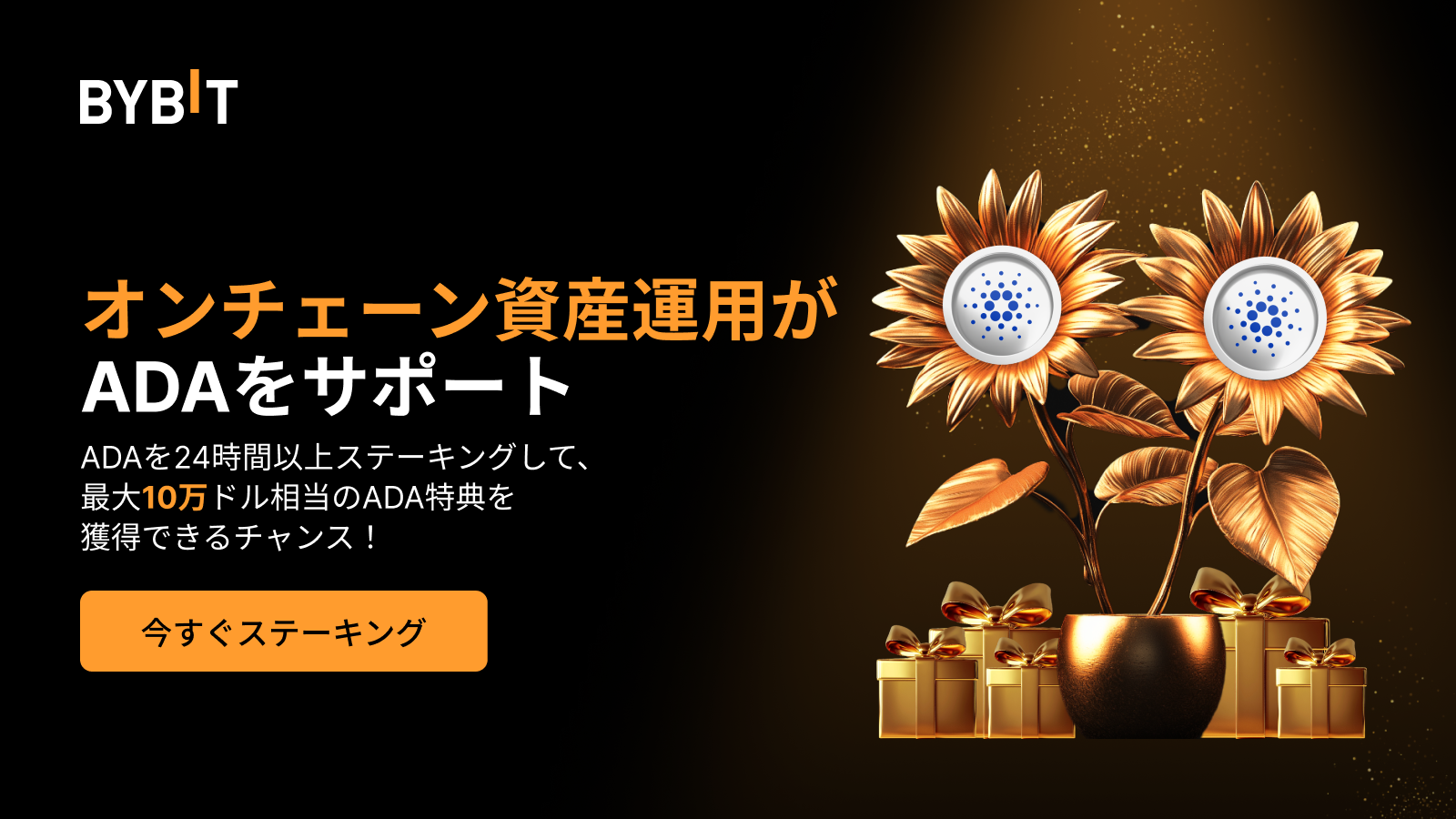 sthkzn2 | . Paraboot ラグビー観戦、ミーティング、懇親会