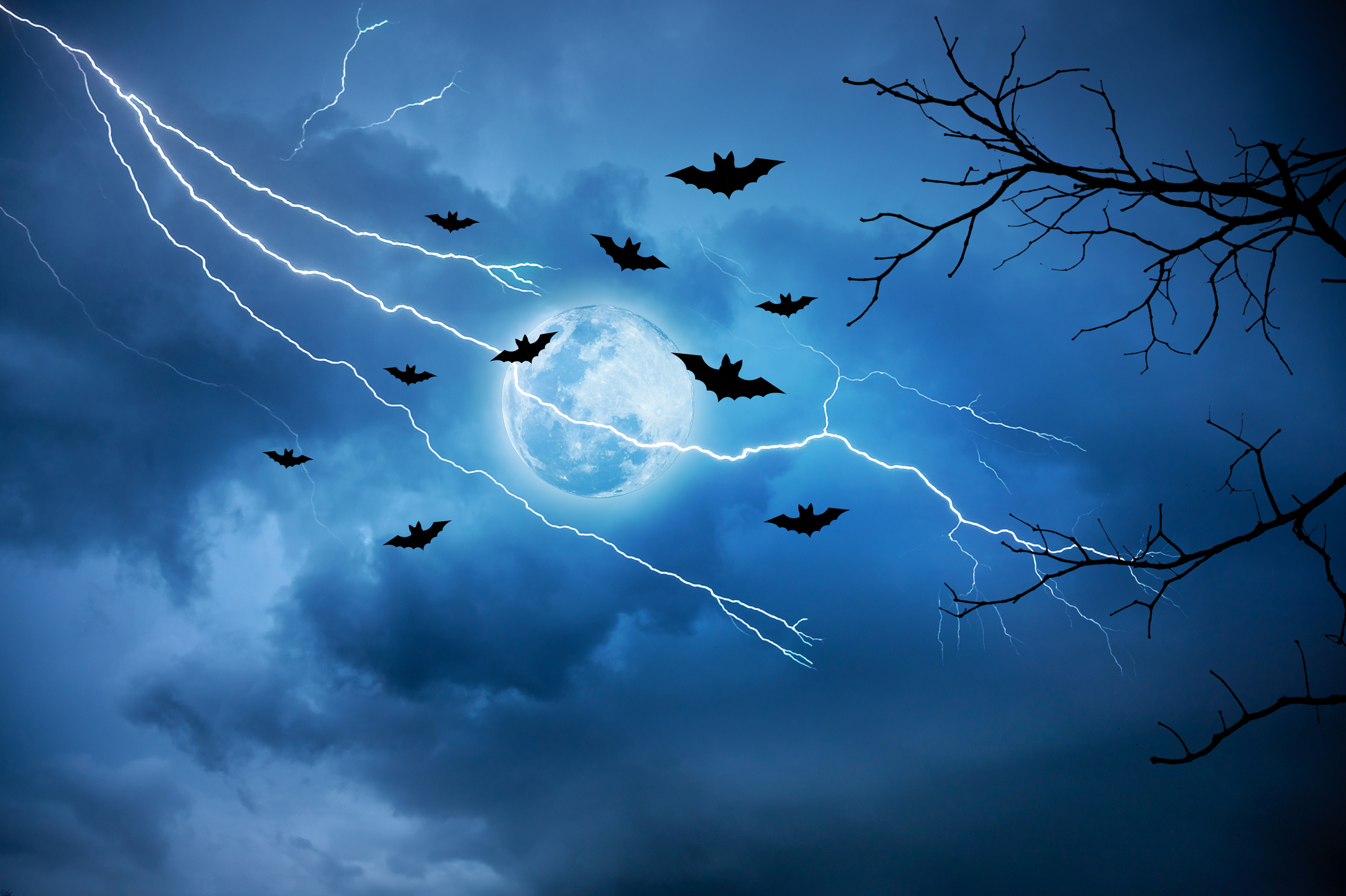 Four castles where we'd host Halloween
